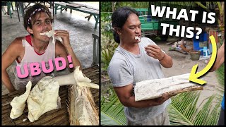 FILIPINO SURVIVAL FOOD - Eating Coconut Tree - STRANGE SNACK PHILIPPINES