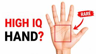 Your Hand Shape Might Reveal Your Intelligence