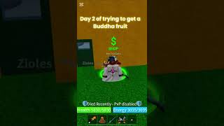 (Day2) trying to get Buddha fruit in blox fruits