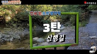 [스타작품특송]강씨봉 소리향기길 3탄 산행길영상