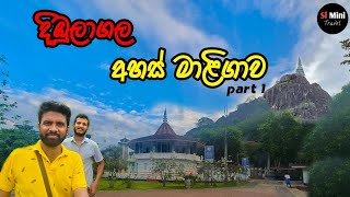 අහස් මාළිගාව උඩදී හමුවූ භාවනායෝගී හාමුදුරුවෝ 🙏🙏 #travel #nature #slminitral