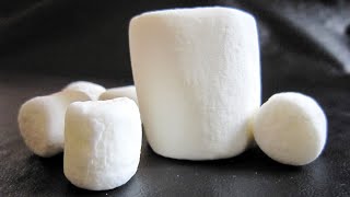 Famous marshmallow test may not predict success