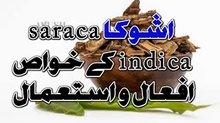 Properties uses and benefits of Saraca indica | اشوکا کے خواص افعال و استعمال