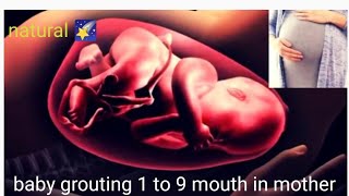 baby grouting 1 to 9 mouth in mother