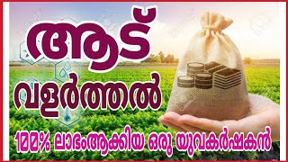 Goat farming in kerala, കൂട് ഇല്ലാതെ ആട് വളർത്തി 100% ലാഭം നേടിയ കർഷകൻ