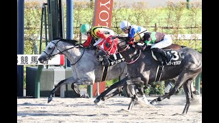 20241012 競馬ﾚｰｽﾄﾋﾟｯｸ　02【復活!】'24大阪スポーツ杯 D1800 OP デリカダ