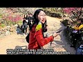 봄맞이 최고의 명소 광양 매화마을 여행 the plum village tour gwangyang