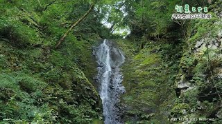 【旬景とやま】八乙女山の不動滝