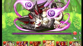 【パズドラ】クリシュナで 「闇の猫龍 超地獄級」 に挑戦