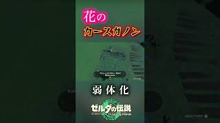 【悲報】花のカースガノン、弱体化【ティアキン】