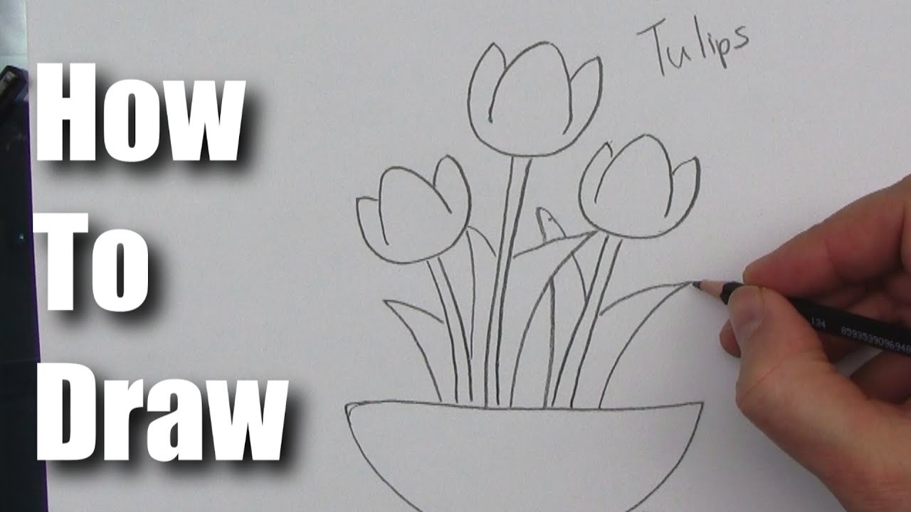 How To Draw A Tulip Flower Step By Step Youtube