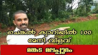 Laterite stone|vegitable farming|Malappuram|mankada|നെൽകൃഷി മുതൽ പുക്കറി വരെ|kerala farmers