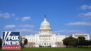 Democrats are looking at two major issues ahead of 2022 midterms: McGurn