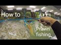 Tutorial on prawn fishing (how to catch a prawn)