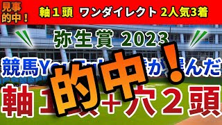 弥生賞2023 競馬YouTuber達が選んだ【軸1頭＋穴2頭】