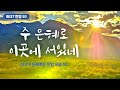 [최고의 은혜로운 찬양 모음 50] 주 은혜로 이곳에 서있네