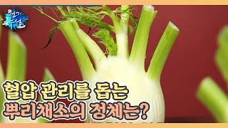 혈압 관리를 돕는 뿌리채소의 정체는? MBN 210924 방송