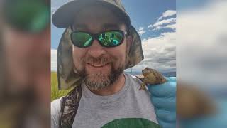 Toad-ally in Love: Wyoming Toad Conservation