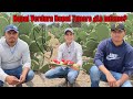 NOPAL VERDURA o NOPAL TUNERO ¿Es lo mismo? Rentable para cultivar | Derivados de la Tuna y Nopal