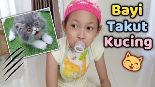Download Bayinya Takut Sama Anak Kucing 😄 Parodi Aqilla's Diary mp3