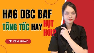 Phân tích cổ phiếu HAG, DBC, BAF: Lựa Sóng Đúng - Chạm Tay Lợi Nhuận!