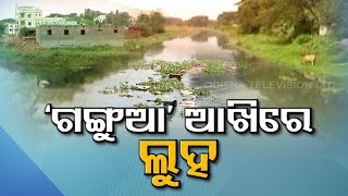 Special Story | Gangua River On The Verge Of Drying Up - OTV Special Report