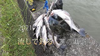 シリーズ浜名湖265　2021流して釣る夏の黒鯛