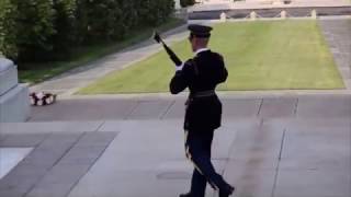 Tomb of the Unknown Soldier TRESPASSED, YELLING & FAINTING Compilation