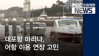 [뉴스리포트] 대포항 마리나, 계류실적 저조 191126