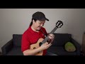 you are the sunshine of my life neal chin ukulele