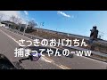 【gsx1300r 初代隼】納車から1ヶ月 cray g【バイク野郎】