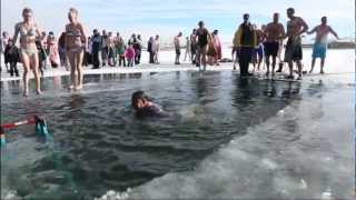 2013 Polar Bear Plunge