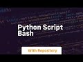 python script bash