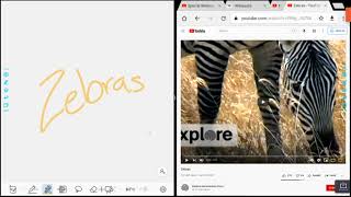 Using Split Screen with a Newline Panel