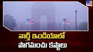 నార్త్ ఇండియా లో పొగమంచు కష్టాలు - TV9