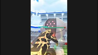 【ポケモンGO】レジスチルレイド　2人討伐　天候ブーストなし