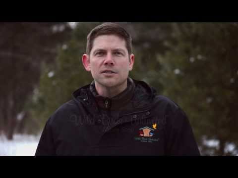 Help Your Birds Survive Extreme Winter Weather Help Your Birds Survive Extreme Winter Weather