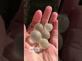 Where do sea glass marbles come from? #shorts