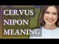 Cervus nipon | meaning of Cervus nipon