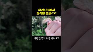 세계에서 단 몇 명만 성공!