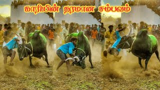 இன்று தரமான சம்பவம் செய்த காரி காளை ரெட்டியூர் எருதாட்டம் | salem eruthattam | kangayam kathalan