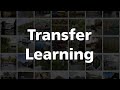 11. Transfer Learning for Domain-Specific Image Classification with Small Datasets