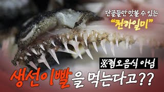 아귀 이빨도 먹는 거라고?🦷 단골들만 맛볼 수 있다는 천하일미✨｜MBC경남 220816 방송