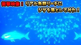 水中カメラで見る、魚探の反応にジグを落とすリアル