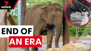 Taronga Zoo farewells some of its most popular residents | 7 News Australia