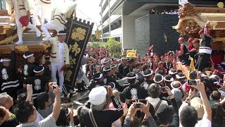 濱八町だんじり祭：かち合い  大津神社 _ 2019