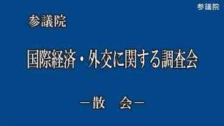 20190522参議院国際経済・外交に関する調査会