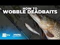 How To Wobble Deadbaits - Predator Fishing Quickbite - Pike Fishing