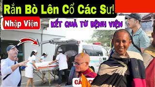 Rắn Bò Lên Cổ Các Sư - ĐOÀN VĂN BÁU VỀ MIỀN ĐẤT PHẬT 23/1