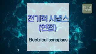 [제186회][21.4.23] 전기적 시냅스(연접) Electrical synapses [대구 비엠한방내과]